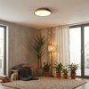 led-stropni-svitidlo-polia-25w-masivni-dub-cerna-1