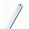 zarivka-10w-T8-4000K-NBB.jpg